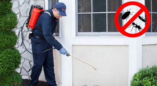 Ekinözü Gümüşkurt İlaçlama böcek ilaçlama ve haşere kontrolü — ilaclama-tr.com